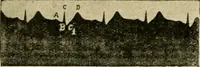 An illustration from A manual of physiology : with practical exercises / by G. N. Stewart ; with coloured plate and 467 other illustrations. (1914)