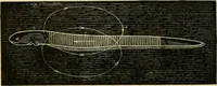 Picture 228 of 351 from A manual of physiology : with practical exercises / by G. N. Stewart ; with coloured plate and 467 other illustrations. (1914), leaf 836