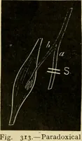 Picture 231 of 351 from A manual of physiology : with practical exercises / by G. N. Stewart ; with coloured plate and 467 other illustrations. (1914), leaf 840