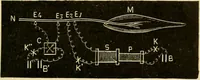 Picture 232 of 351 from A manual of physiology : with practical exercises / by G. N. Stewart ; with coloured plate and 467 other illustrations. (1914), leaf 841