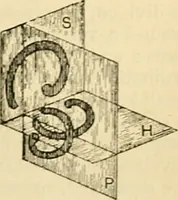 An illustration from A manual of physiology : with practical exercises / by G. N. Stewart ; with coloured plate and 467 other illustrations. (1914)