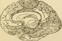 Picture 280 of 351 from A manual of physiology : with practical exercises / by G. N. Stewart ; with coloured plate and 467 other illustrations. (1914), leaf 951