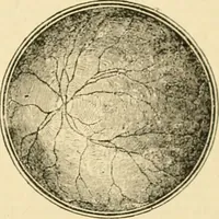 Picture 295 of 351 from A manual of physiology : with practical exercises / by G. N. Stewart ; with coloured plate and 467 other illustrations. (1914), leaf 999