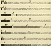 An illustration from Human physiology : prepared with special reference to students of medicine / by Joseph Howard Raymond. (1901)