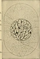 An illustration from Human physiology : prepared with special reference to students of medicine / by Joseph Howard Raymond. (1901)