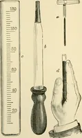 An illustration from Human physiology : prepared with special reference to students of medicine / by Joseph Howard Raymond. (1901)