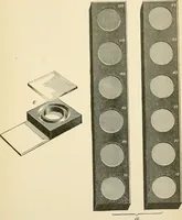 An illustration from Human physiology : prepared with special reference to students of medicine / by Joseph Howard Raymond. (1901)