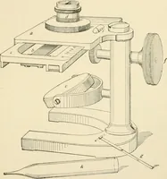 An illustration from Human physiology : prepared with special reference to students of medicine / by Joseph Howard Raymond. (1901)