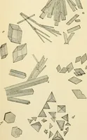 An illustration from Human physiology : prepared with special reference to students of medicine / by Joseph Howard Raymond. (1901)