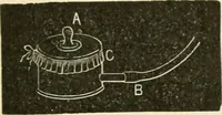 An illustration from Human physiology : prepared with special reference to students of medicine / by Joseph Howard Raymond. (1901)