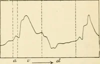 An illustration from Human physiology : prepared with special reference to students of medicine / by Joseph Howard Raymond. (1901)