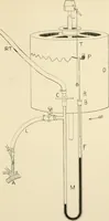 An illustration from Human physiology : prepared with special reference to students of medicine / by Joseph Howard Raymond. (1901)
