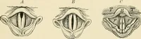 An illustration from Human physiology : prepared with special reference to students of medicine / by Joseph Howard Raymond. (1901)