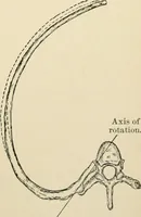 An illustration from Human physiology : prepared with special reference to students of medicine / by Joseph Howard Raymond. (1901)
