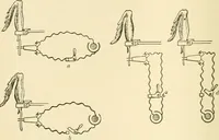 An illustration from Human physiology : prepared with special reference to students of medicine / by Joseph Howard Raymond. (1901)