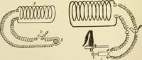 An illustration from Human physiology : prepared with special reference to students of medicine / by Joseph Howard Raymond. (1901)
