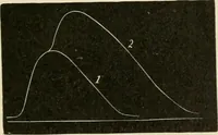 An illustration from Human physiology : prepared with special reference to students of medicine / by Joseph Howard Raymond. (1901)