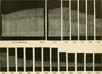 An illustration from Human physiology : prepared with special reference to students of medicine / by Joseph Howard Raymond. (1901)