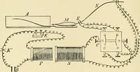 An illustration from Human physiology : prepared with special reference to students of medicine / by Joseph Howard Raymond. (1901)