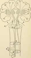 An illustration from Human physiology : prepared with special reference to students of medicine / by Joseph Howard Raymond. (1901)