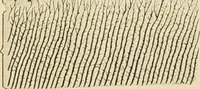 An illustration from Human physiology : prepared with special reference to students of medicine / by Joseph Howard Raymond. (1901)