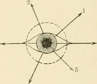 An illustration from Human physiology : prepared with special reference to students of medicine / by Joseph Howard Raymond. (1901)