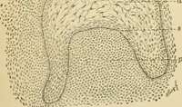 An illustration from Human physiology : prepared with special reference to students of medicine / by Joseph Howard Raymond. (1901)