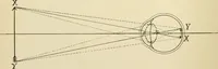 An illustration from Human physiology : prepared with special reference to students of medicine / by Joseph Howard Raymond. (1901)