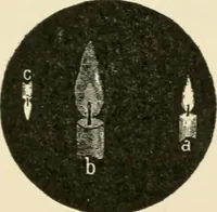 An illustration from Human physiology : prepared with special reference to students of medicine / by Joseph Howard Raymond. (1901)