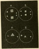 An illustration from Human physiology : prepared with special reference to students of medicine / by Joseph Howard Raymond. (1901)