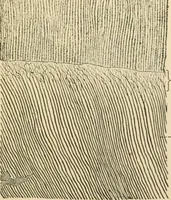 An illustration from Human physiology : prepared with special reference to students of medicine / by Joseph Howard Raymond. (1901)