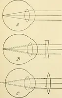An illustration from Human physiology : prepared with special reference to students of medicine / by Joseph Howard Raymond. (1901)