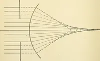 An illustration from Human physiology : prepared with special reference to students of medicine / by Joseph Howard Raymond. (1901)