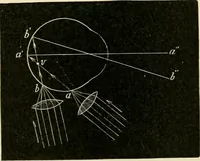 An illustration from Human physiology : prepared with special reference to students of medicine / by Joseph Howard Raymond. (1901)
