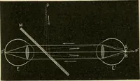 An illustration from Human physiology : prepared with special reference to students of medicine / by Joseph Howard Raymond. (1901)