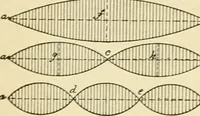 An illustration from Human physiology : prepared with special reference to students of medicine / by Joseph Howard Raymond. (1901)
