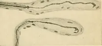 An illustration from Human physiology : prepared with special reference to students of medicine / by Joseph Howard Raymond. (1901)