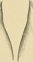 An illustration from The principles and practice of modern surgery / by Roswell Park ... with 722 engravings and 60 full-page plates in colors and monochrome. (1907)