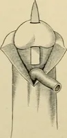 Picture 194 of 224 from The principles and practice of modern surgery / by Roswell Park ... with 722 engravings and 60 full-page plates in colors and monochrome. (1907), leaf 1120