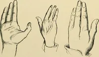 An illustration from The principles and practice of modern surgery / by Roswell Park ... with 722 engravings and 60 full-page plates in colors and monochrome. (1907)