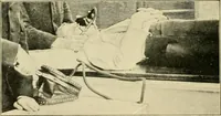An illustration from The principles and practice of modern surgery / by Roswell Park ... with 722 engravings and 60 full-page plates in colors and monochrome. (1907)