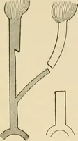 An illustration from The principles and practice of modern surgery / by Roswell Park ... with 722 engravings and 60 full-page plates in colors and monochrome. (1907)