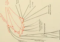 An illustration from The principles and practice of modern surgery / by Roswell Park ... with 722 engravings and 60 full-page plates in colors and monochrome. (1907)