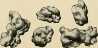 An illustration from The principles and practice of modern surgery / by Roswell Park ... with 722 engravings and 60 full-page plates in colors and monochrome. (1907)