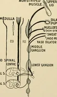 Picture 134 of 224 from The principles and practice of modern surgery / by Roswell Park ... with 722 engravings and 60 full-page plates in colors and monochrome. (1907), leaf 711