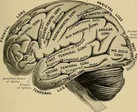 An illustration from Surgical diagnosis / by Edward Martin ... illustrated with 445 engravings and 18 plates in colors and monochrome. (1909)