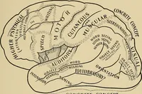 An illustration from Surgical diagnosis / by Edward Martin ... illustrated with 445 engravings and 18 plates in colors and monochrome. (1909)