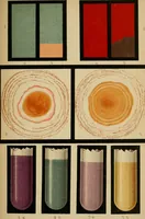 An illustration from Atlas of methods of clinical investigation : with an epitome of clinical diagnosis and of special pathology and treatment of internal diseases / By Dr. Christfried Jakob ... Authorized translation from the German. Ed. by Augustus A. Eshner ... With 182 colored illustrations upon 68 plates, and 64 illustrations in the text. (1898)
