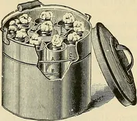 An illustration from The diseases of infancy and childhood : for the use of students and practitioners of medicine / by L. Emmett Holt and John Howland. (1911)