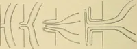 An illustration from The diseases of infancy and childhood : for the use of students and practitioners of medicine / by L. Emmett Holt with two hundred and forty-one illustrations, including eight coloured plates. (1908)